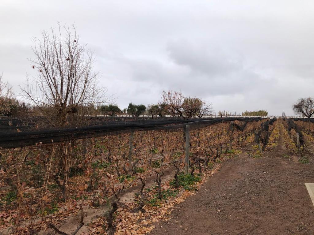 Entre Vinedos Lujan de Cuyo Exterior foto